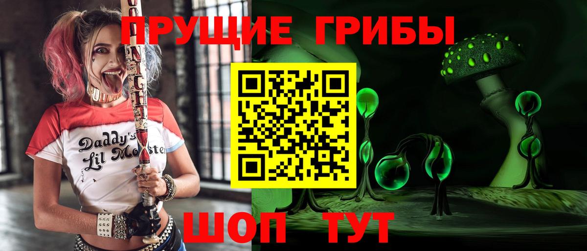 Галлюциногенные грибы GOLDEN TEACHER  Галлюциногенные грибы Psilocybine cubensis  Городец  Вход с VPN 
